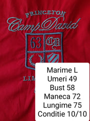 Camasa Camp David - marimea L - Barbati