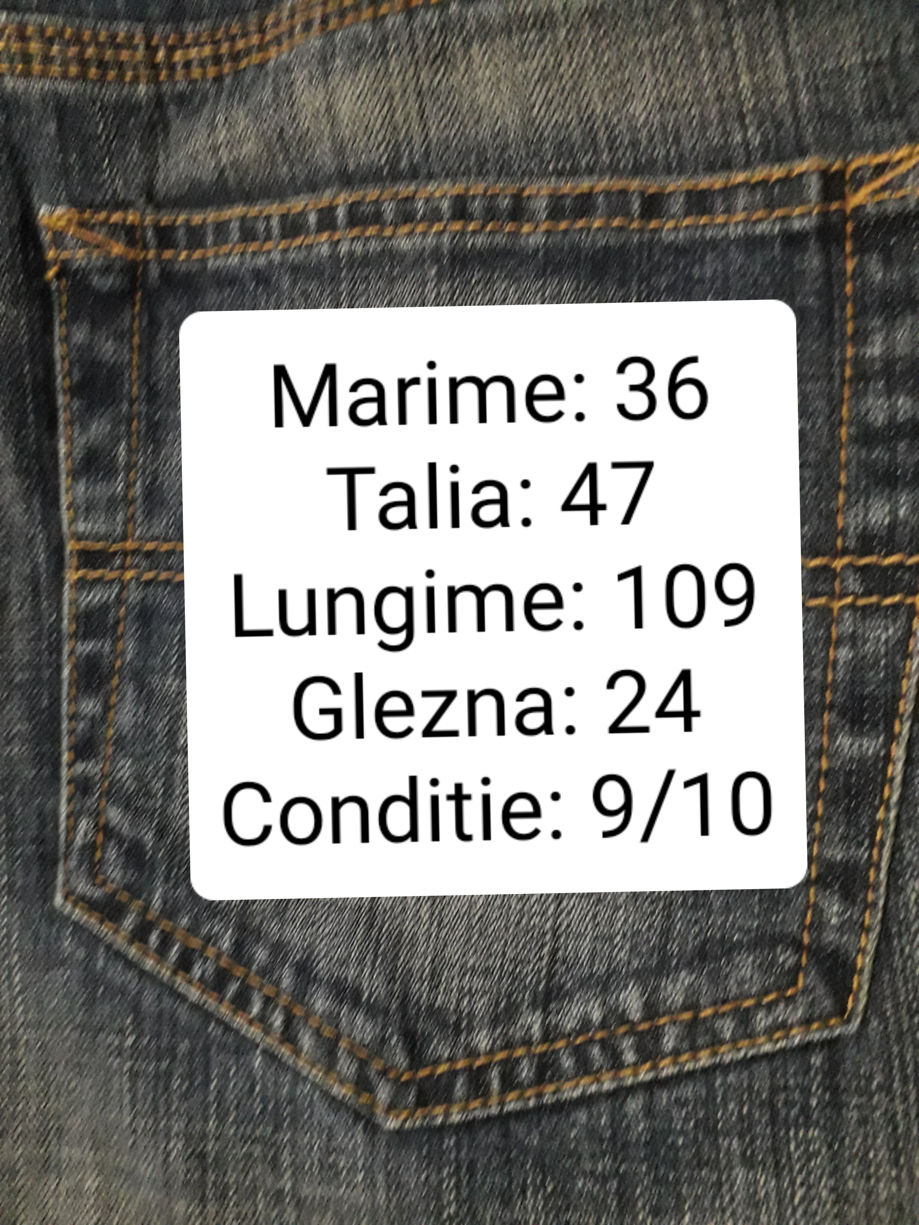 Blugi Burton - marimea L/XL W36 - Femei