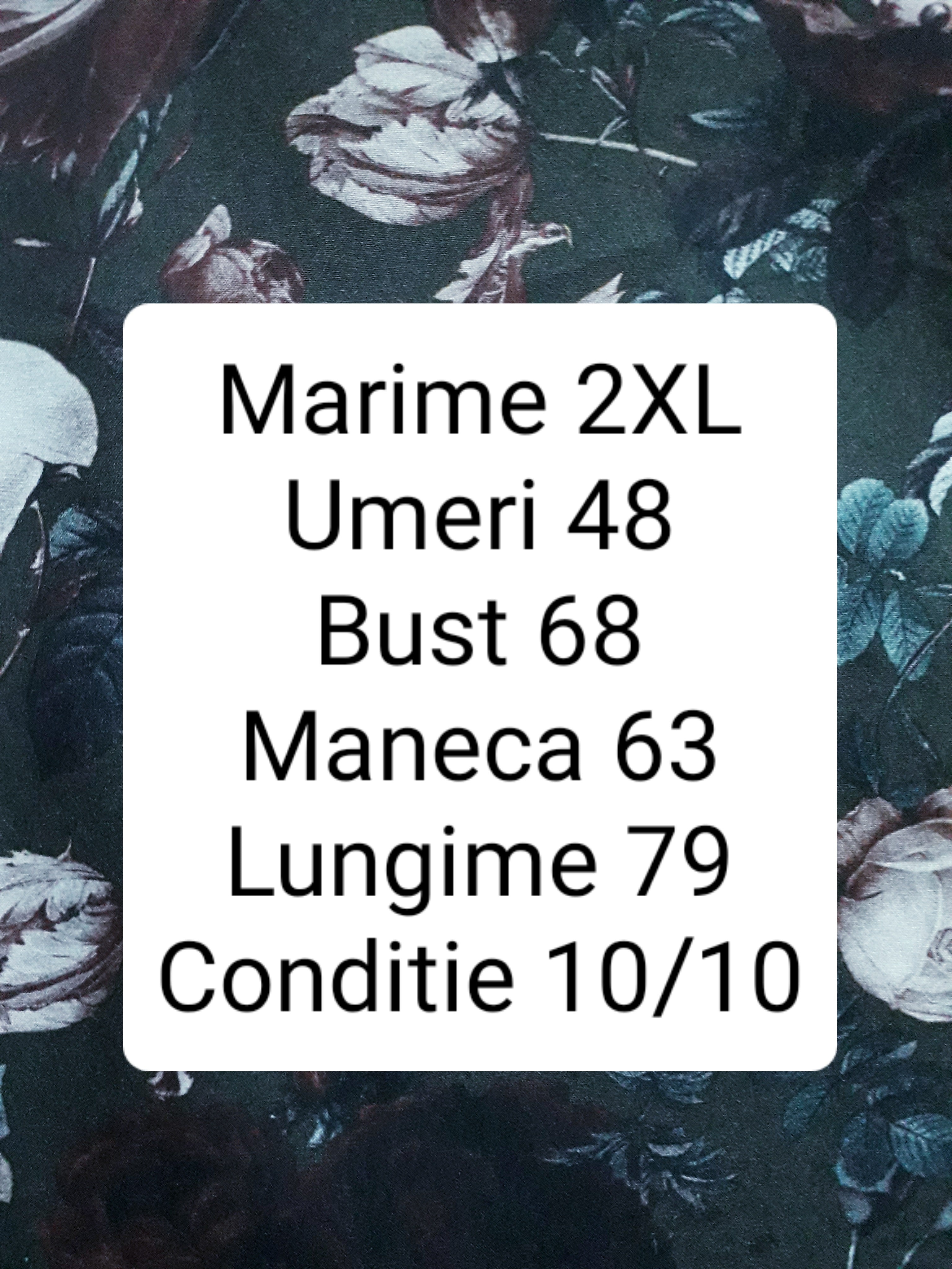 Camasa Dressmann - marimea XXL - Barbati