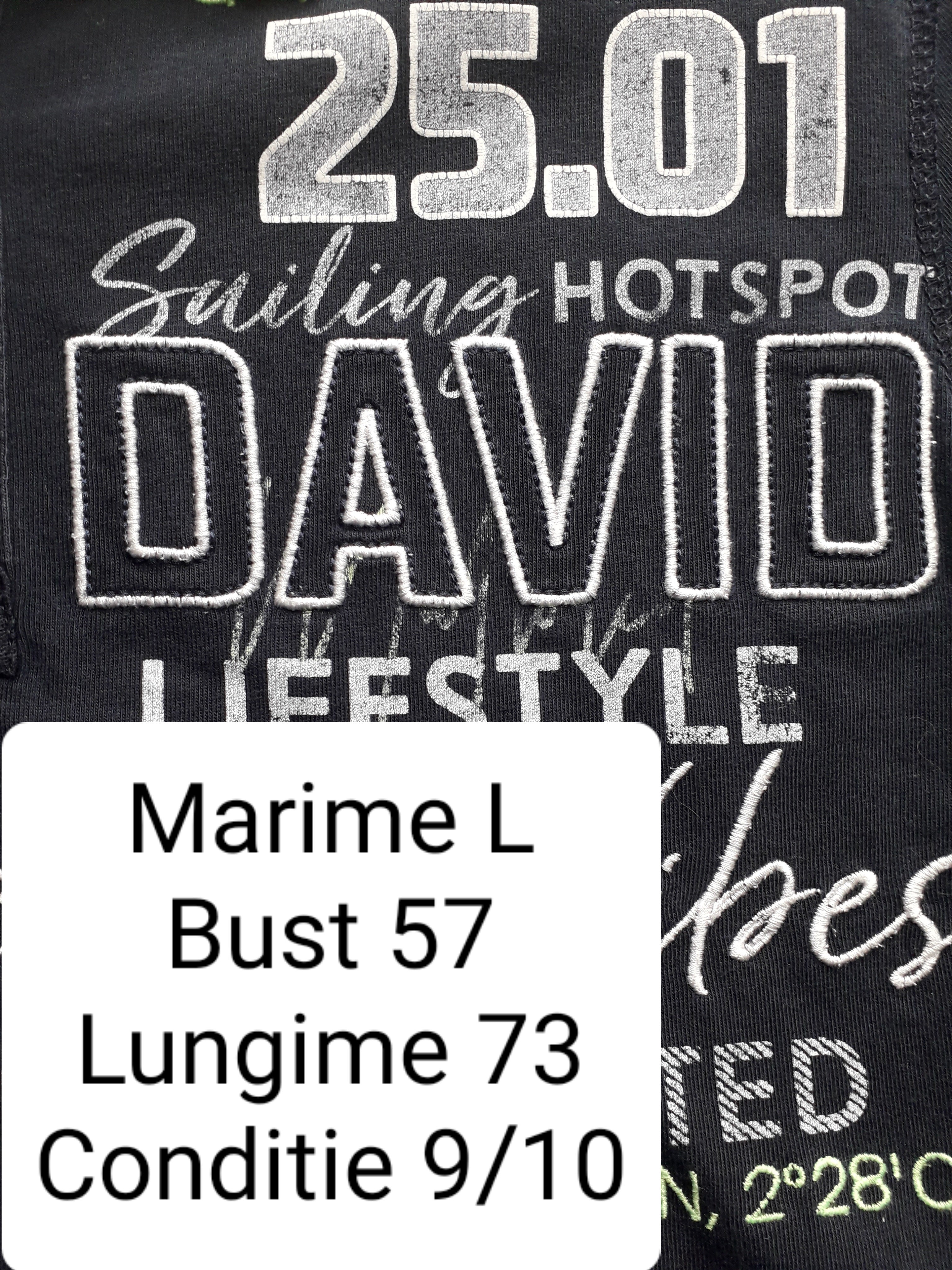 Tricou Camp David - marimea L - Barbati