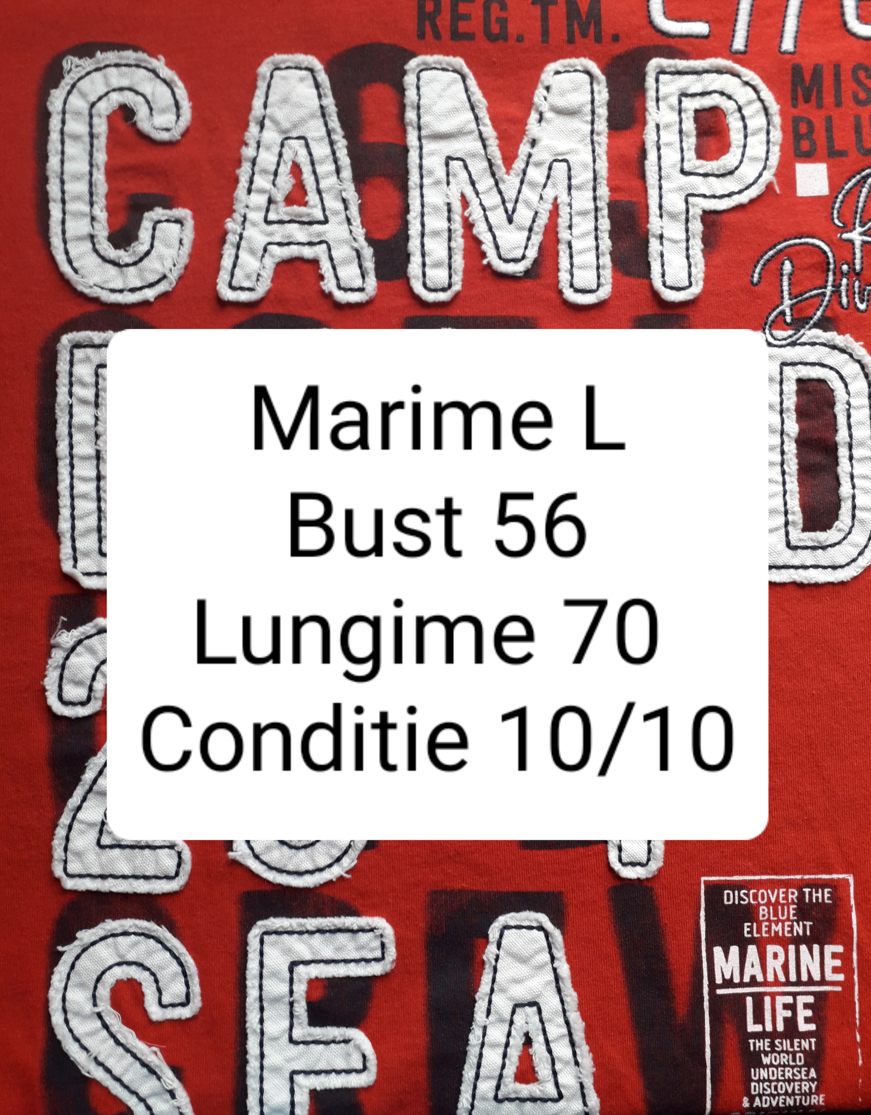 Tricou Camp David - marimea L - Barbati