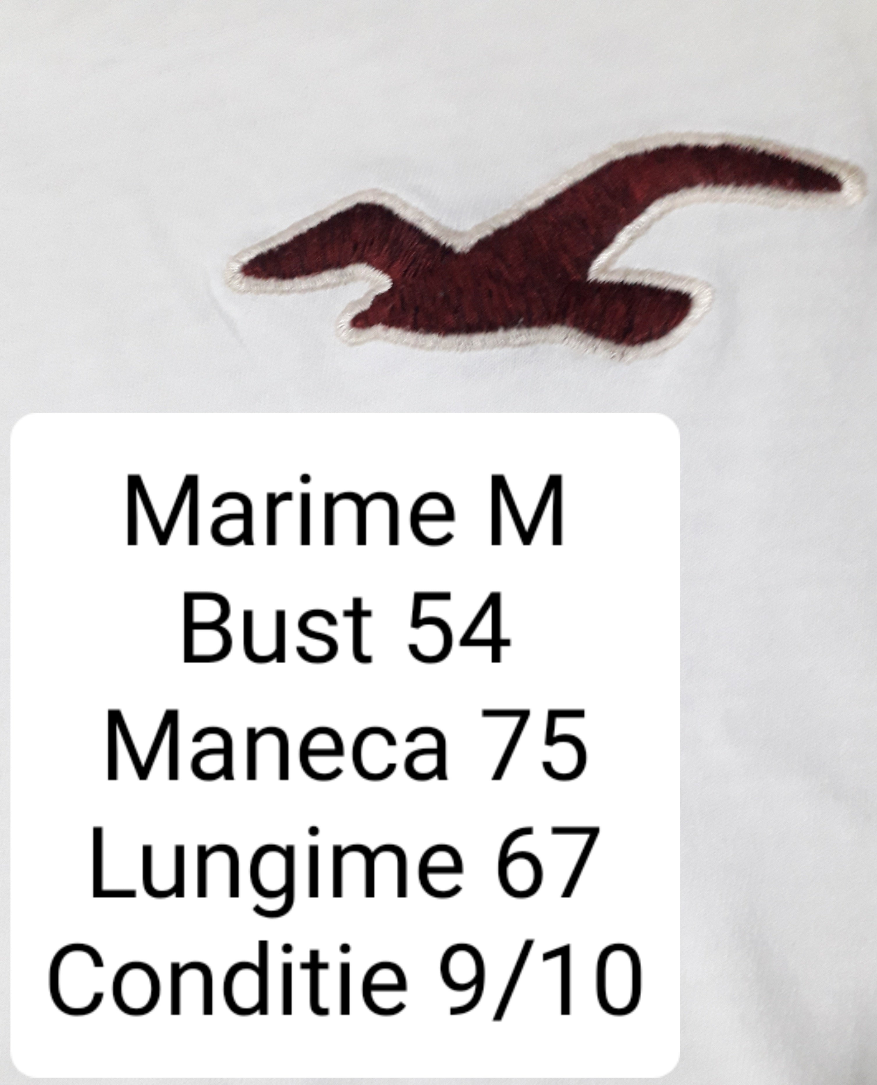 Bluza Hollister - marimea M - Barbati
